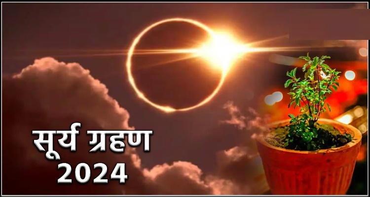 Solar Eclipse Mistakes Related to Tulsi : सूर्य ग्रहण कल, भूलकर 