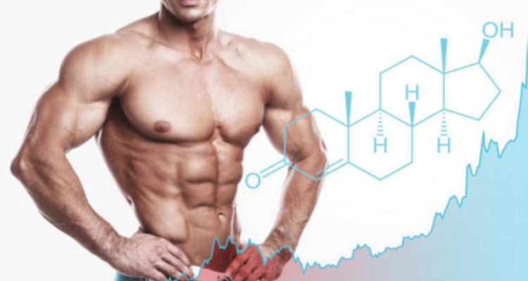 Testosterone Hormone : पुरुषों के शारीरिक विकास से यौन इच्छा बढ़ाने तक, 