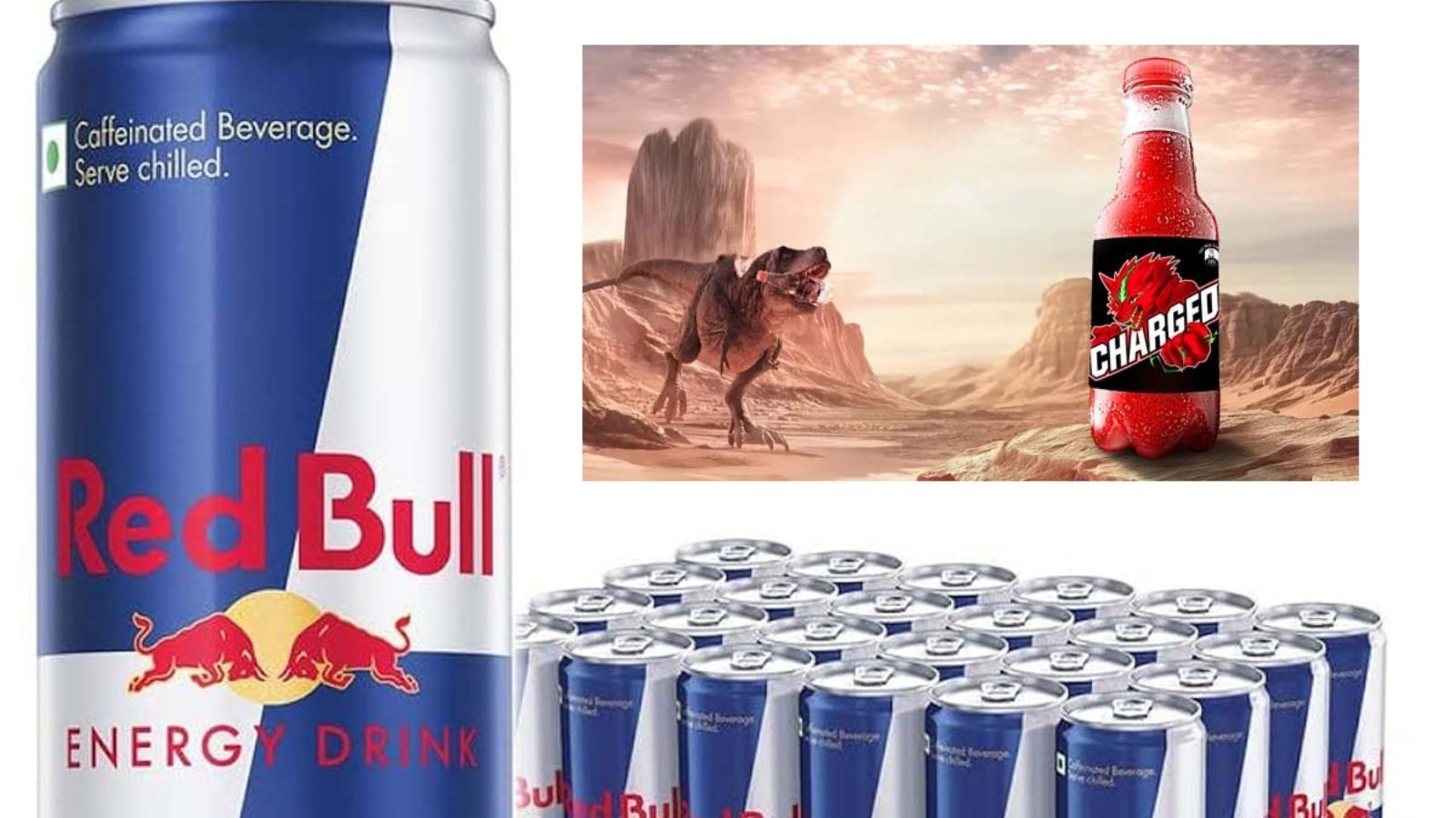 पंजाब के गांव में Red Bull, String, Hell समेत कई एनर्जी ड्रिंक्स पर बैन, 