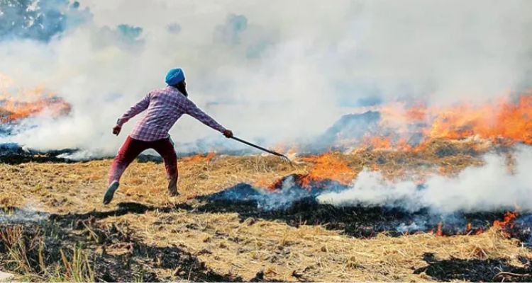 जालंधर में पराली जलाने के खिलाफ बड़ी कार्रवाई,