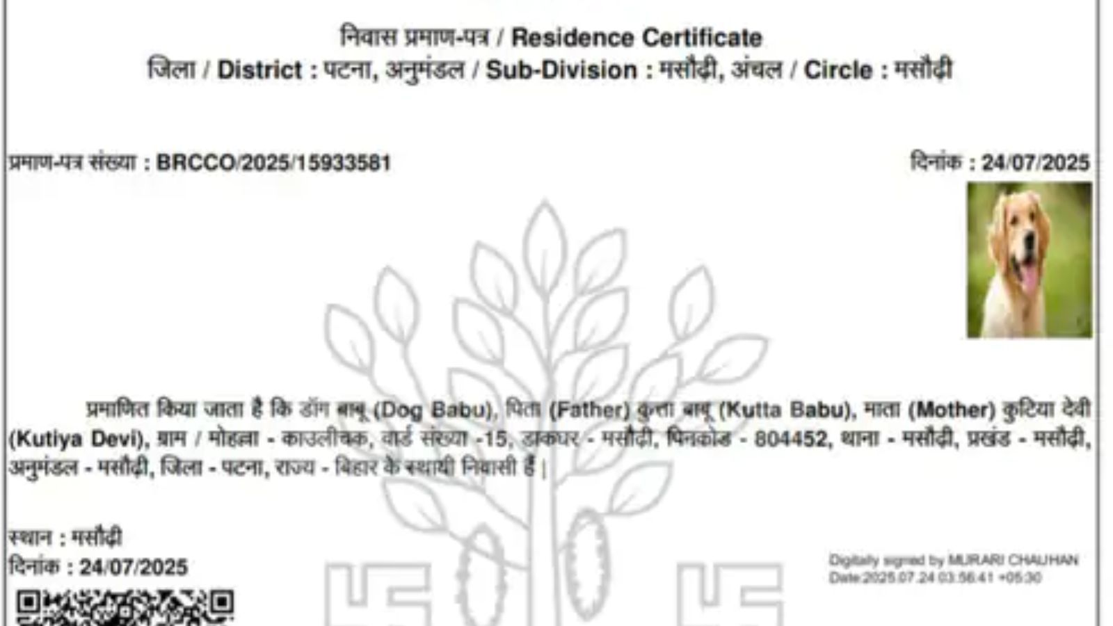 लोग सही कहते हैं Bihar is not for beginners, 
