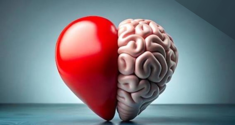 Heart Brain Study Reveal : छाती के बीच लेफ्ट-राइट साइड में होता 