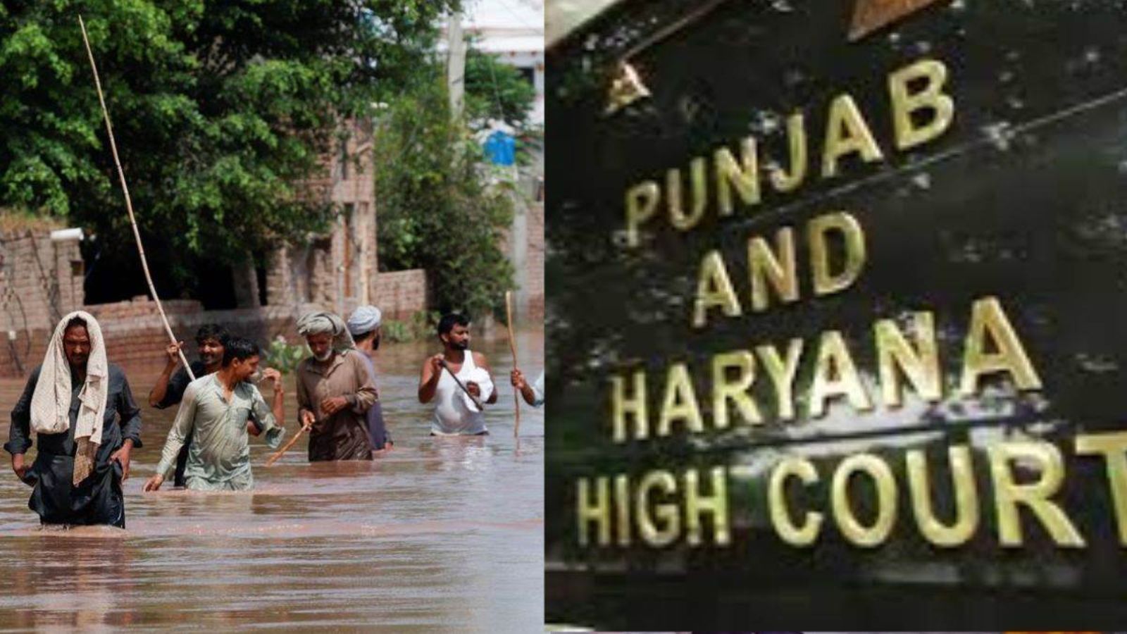 पंजाब में बाढ़ पर जनहित याचिका सुनने से हाईकोर्ट का इनकार, 