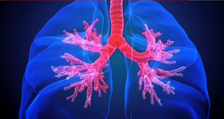 Easy Steps Lungs Cleaning लंग्स साफ करने का ये हैं पांच 