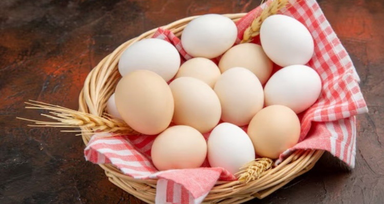 Eggs Benefits : हेल्थ के लिए अच्छा माना जाता है अंडा, जानें ये 6 फायदे, 