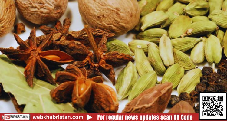 क्या गरम मसाले से लोगों को होता है नुकसान? 
