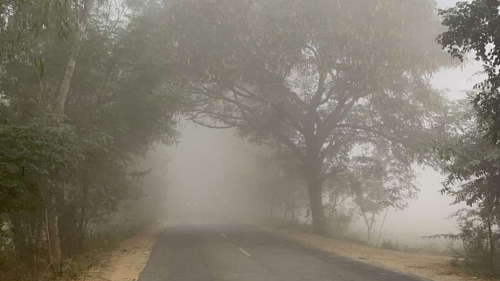 Fog In Punjab : 