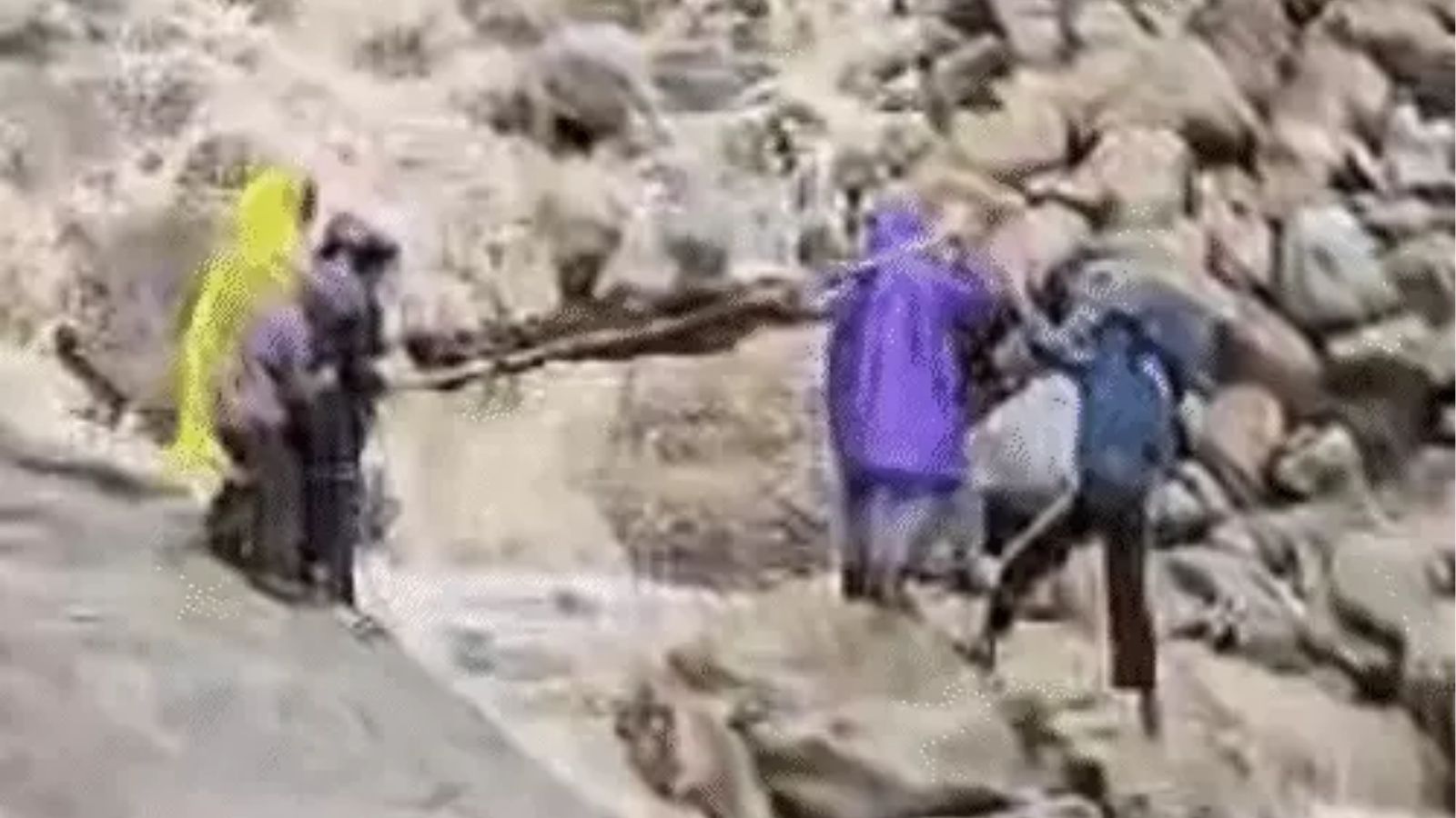  किन्नर कैलाश यात्रा स्थगित, 