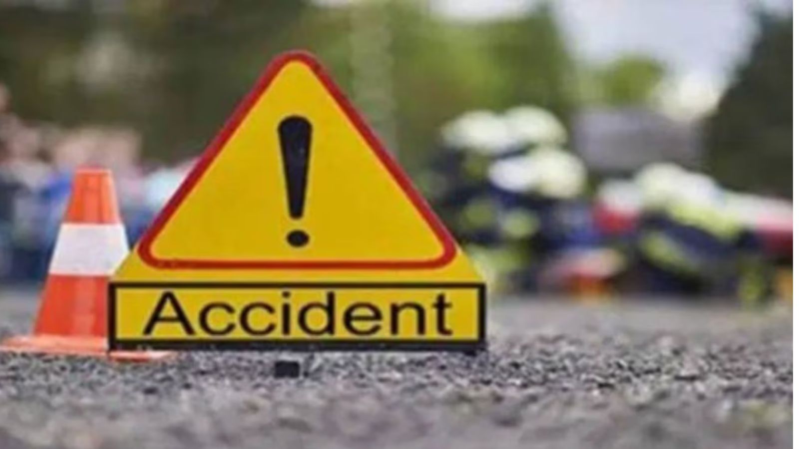 Bihar Road Accident : तेज रफ्तार वाहन का कहर,