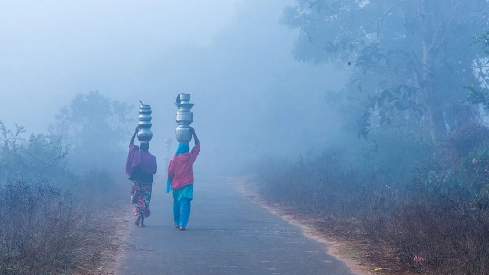 पंजाब और चंडीगढ़ में धुआं घौंट रहा दम, 