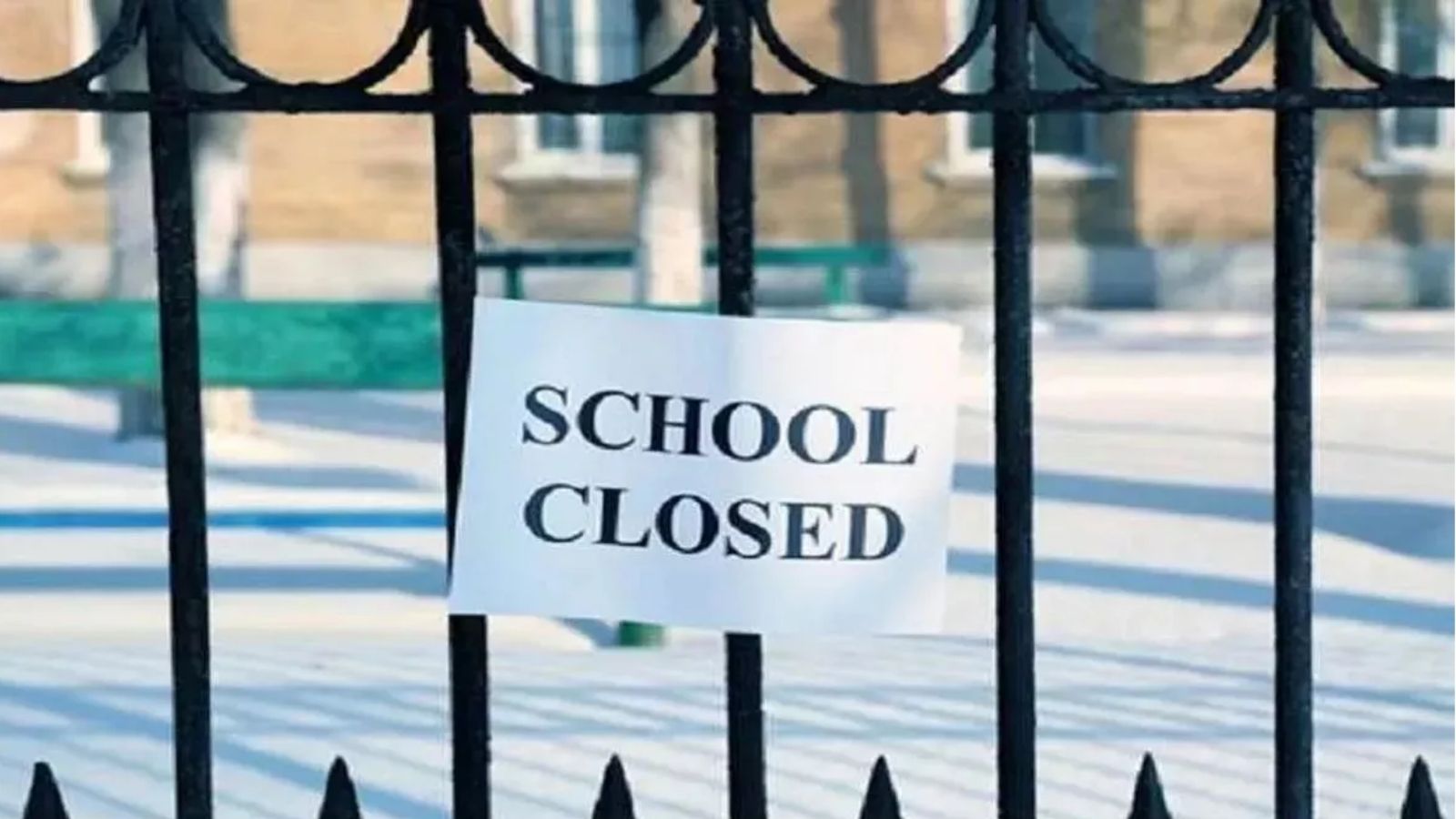 School Holiday : 