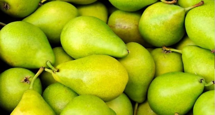 Pear Fruits Benefits : पोषण से भरपूर माना जाता है यह फल, 