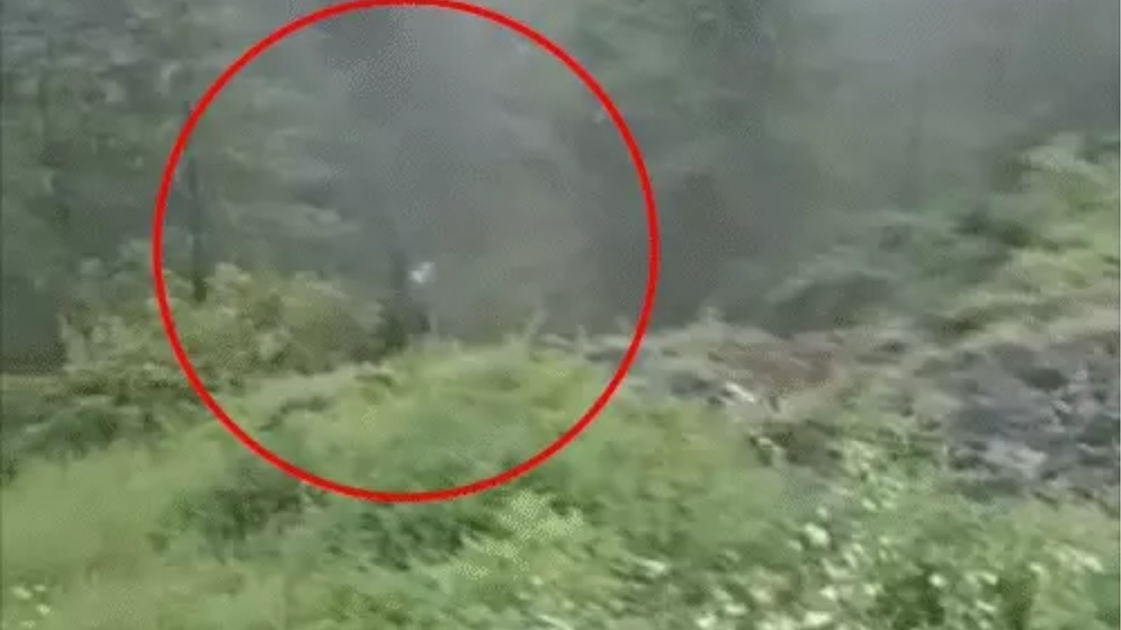 हिमाचल में 300 मीटर फीट गहरी खाई में गिरी ऑल्टो कार,