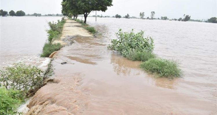  पंजाब में बाढ़ ने मचाई भारी तबाही, 