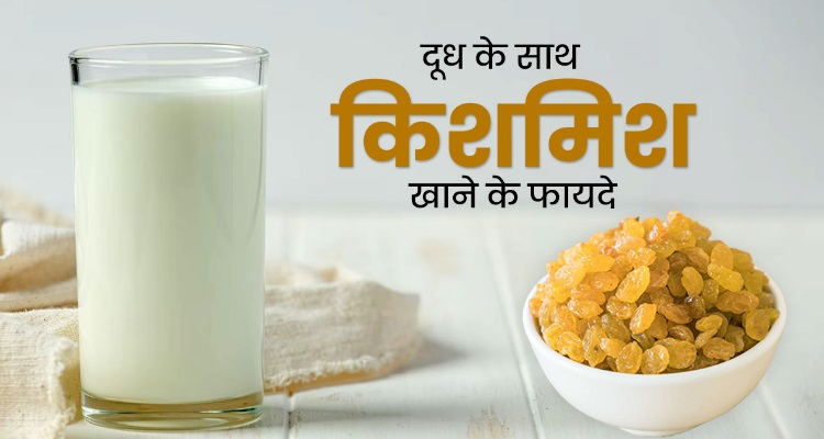 Milk with Raisins Benefits : हड्डियों का ढ़ांचा हो गया है शरीर