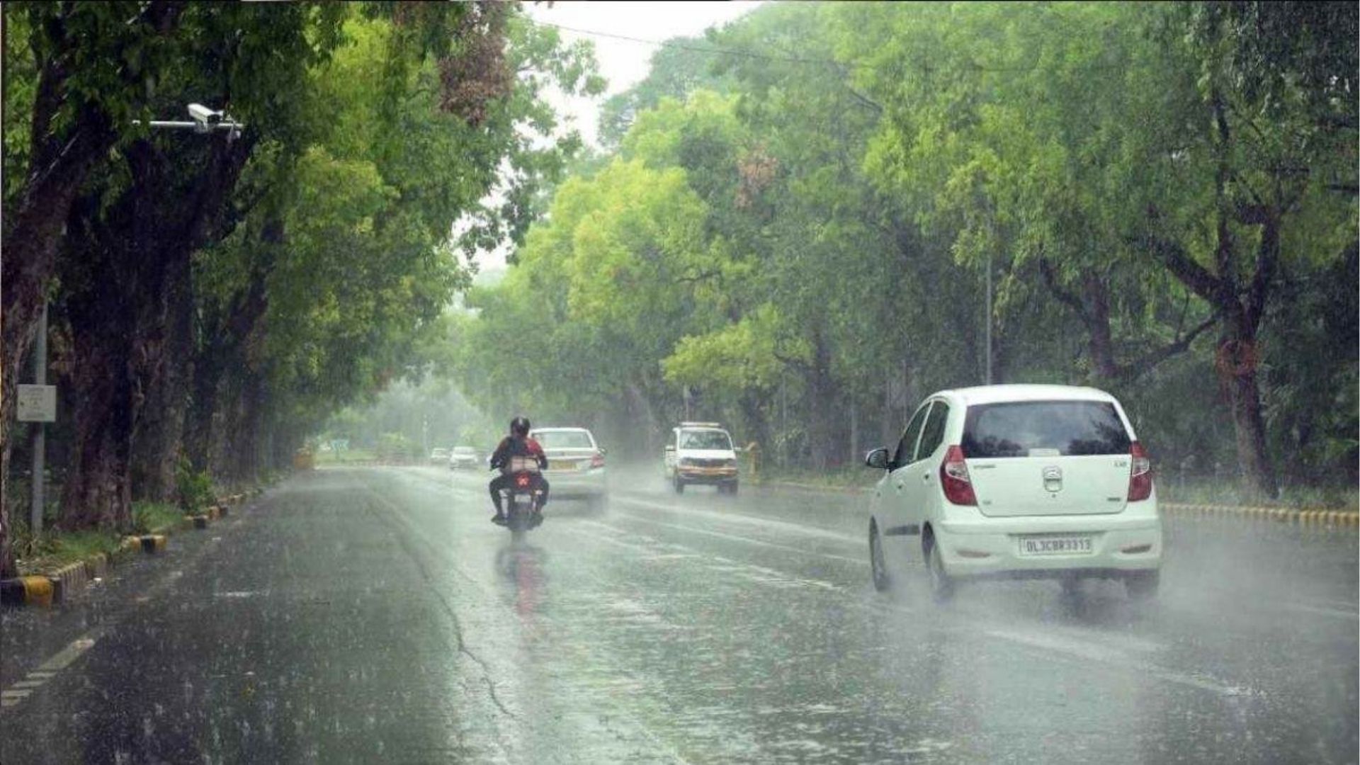 पंजाब के 11 जिलों में बारिश का येलो अलर्ट, 