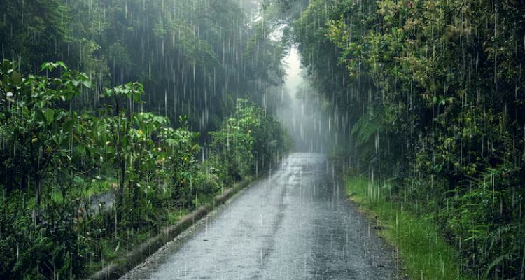 पंजाब के 4 हिमाचल के 5 जिलों में भारी बारिश का अलर्ट, 