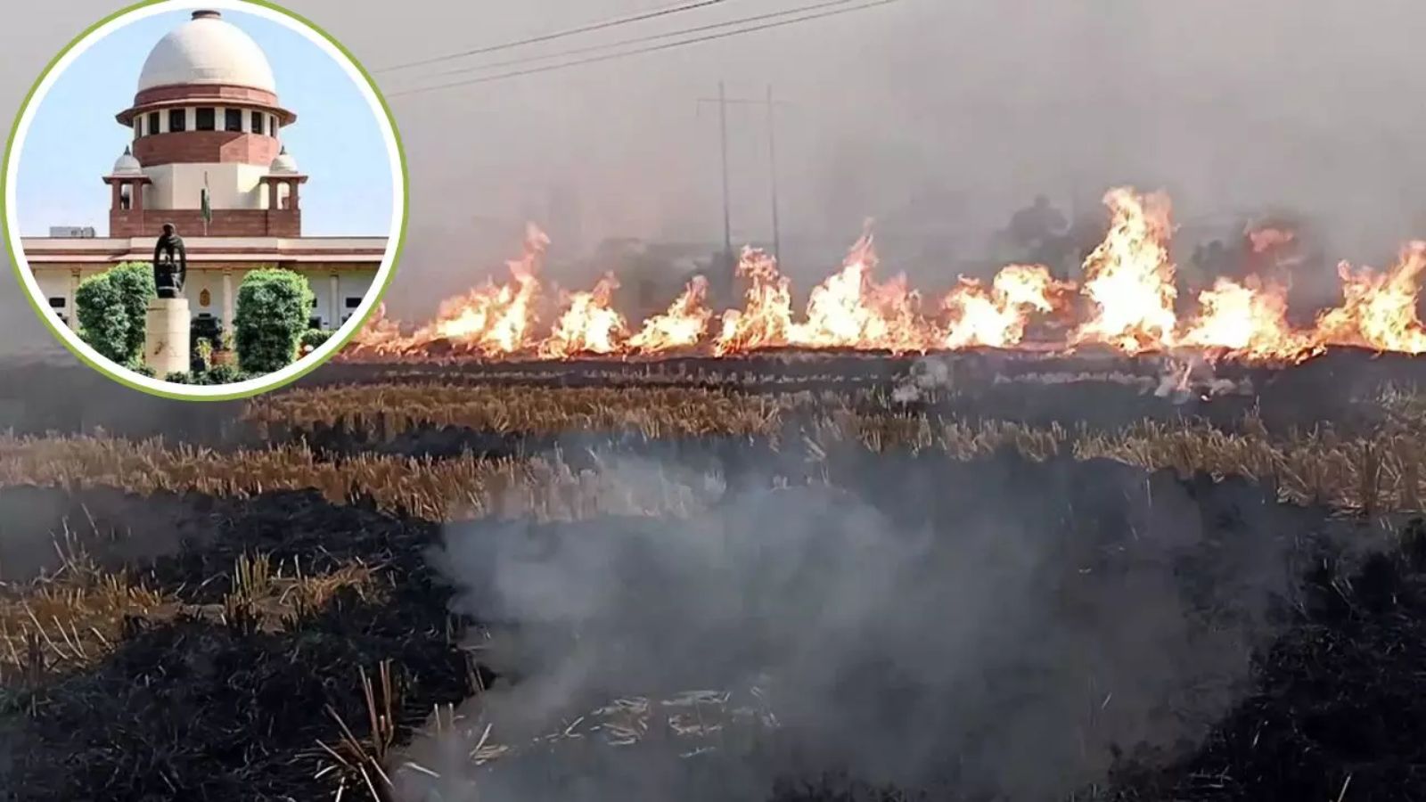 पराली जलाने पर सुप्रीम कोर्ट सख्त, 