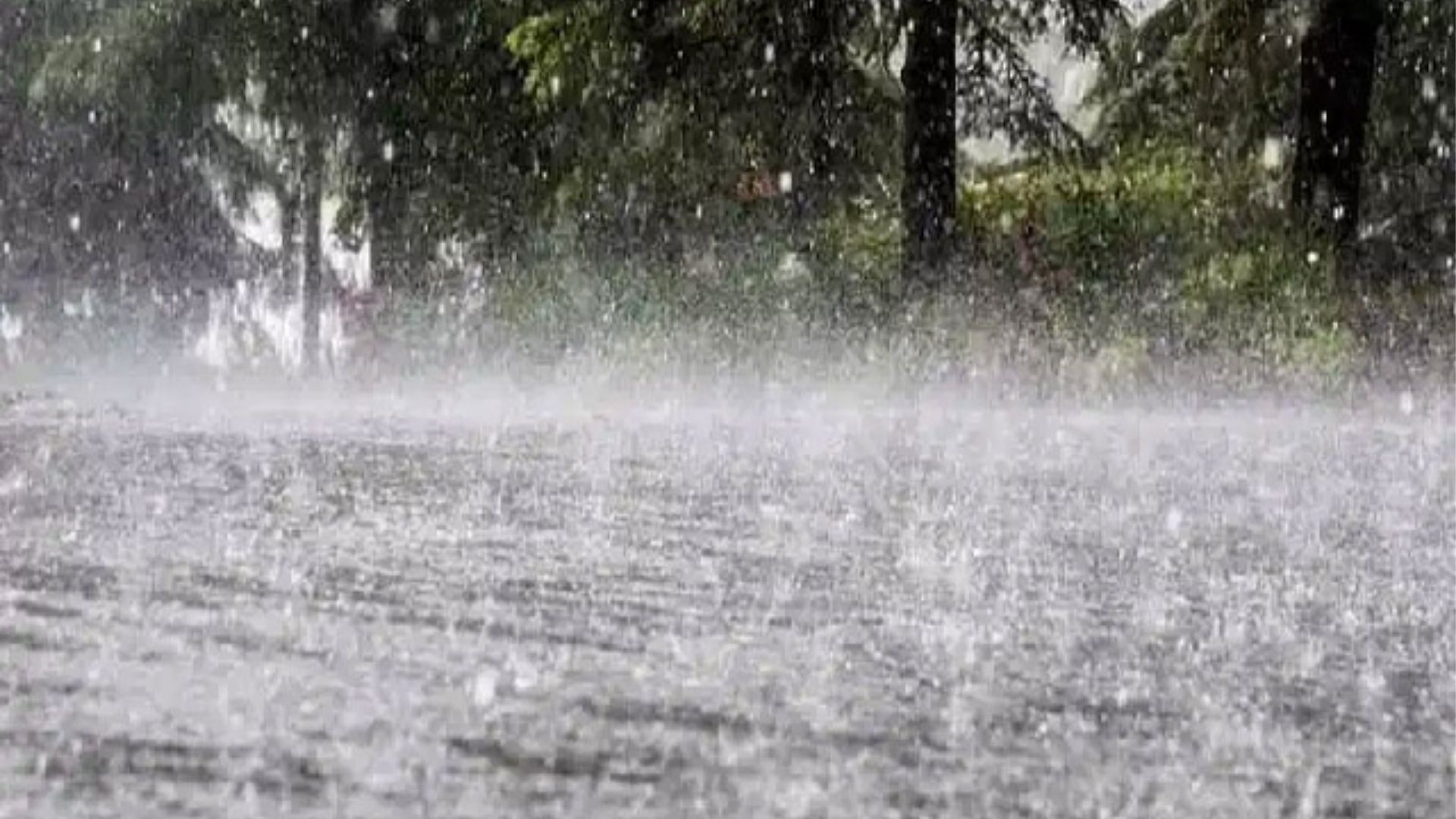 पंजाब में मौसम विभाग ने जारी किया तूफान और भारी बारिश का अलर्ट, 