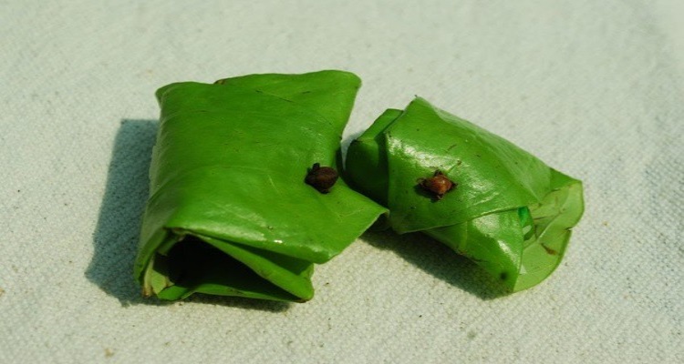 Tradition of Eating Paan : इन गंभीर रोगों का रामबाण इलाज है तो आज 