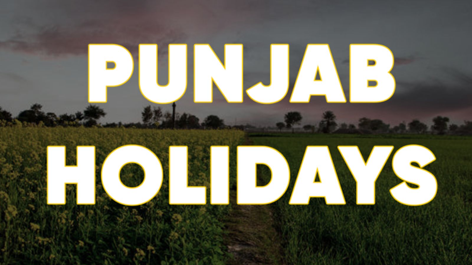   Punjab Holidays : 