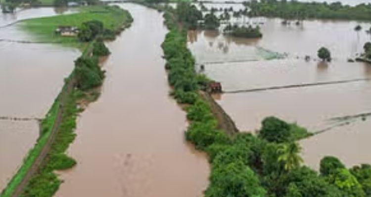पंजाब में बारिश ने तोड़ा इतने साल का रिकॉर्ड, 