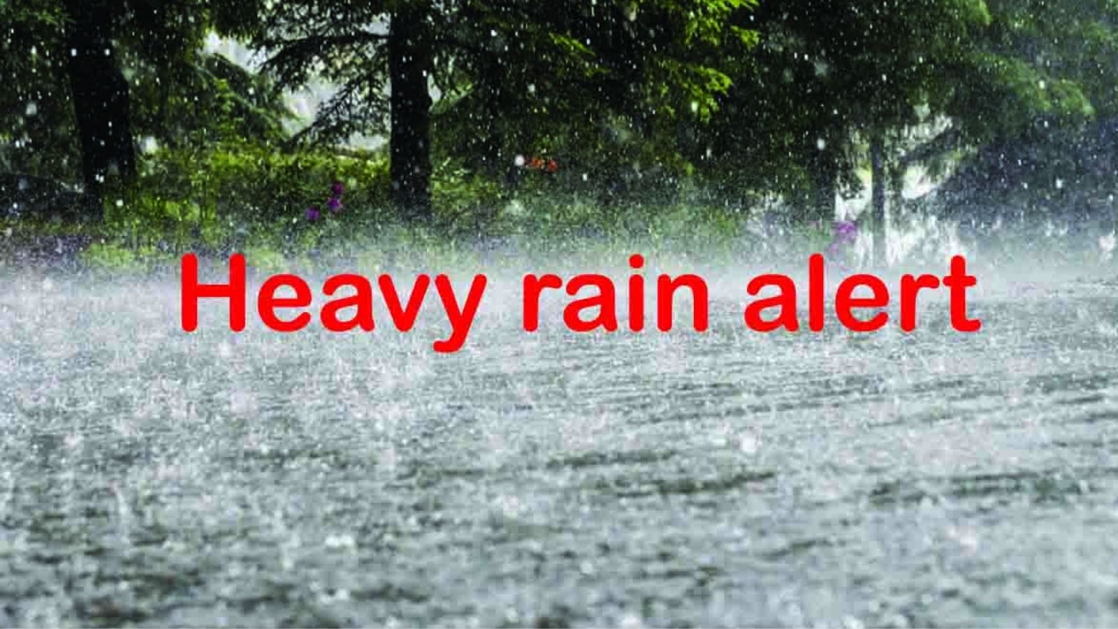   Heavy rain alert : 