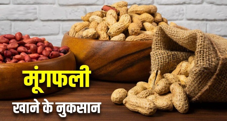 Side Effects of Peanuts : नुकसानदायक हो सकता है मूंगफली