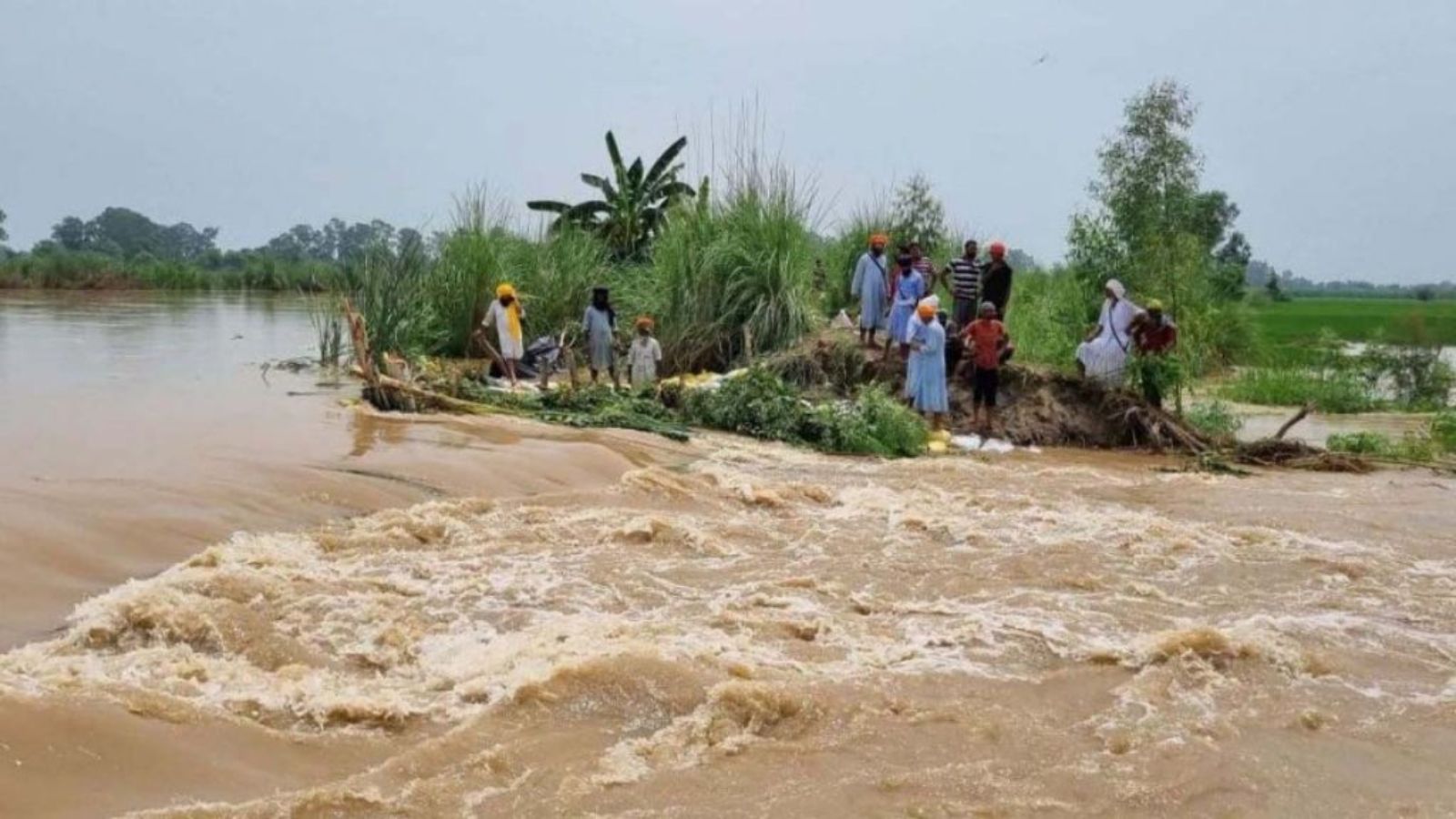 पंजाब सरकार ने बाढ़ को लेकर जारी किए आंकड़े, 