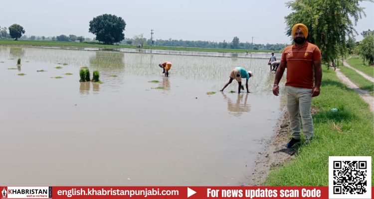 बाढ़ ग्रस्त इलाकों में फसलों  लिए फिर से खेत हुए तैयार