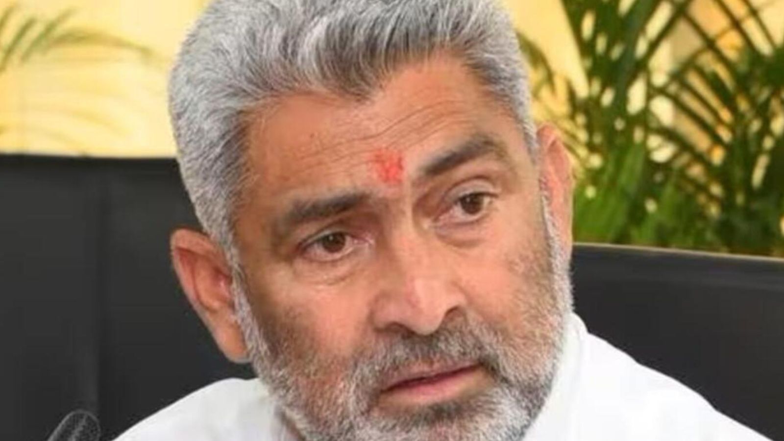 पंजाब सरकार का तोहफा! वन विभाग के 378 कर्मचारी किए गए पक्के, 
