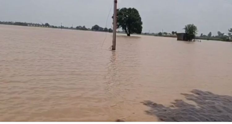 बाढ़ के बीच पंजाब सरकार का अहम फैसला,  