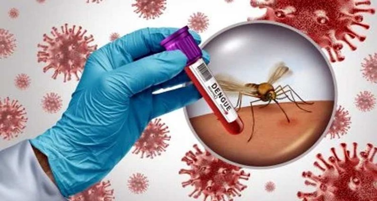 Dengue Vaccine Made in India : भारत में डेंगू की वैक्सीन 