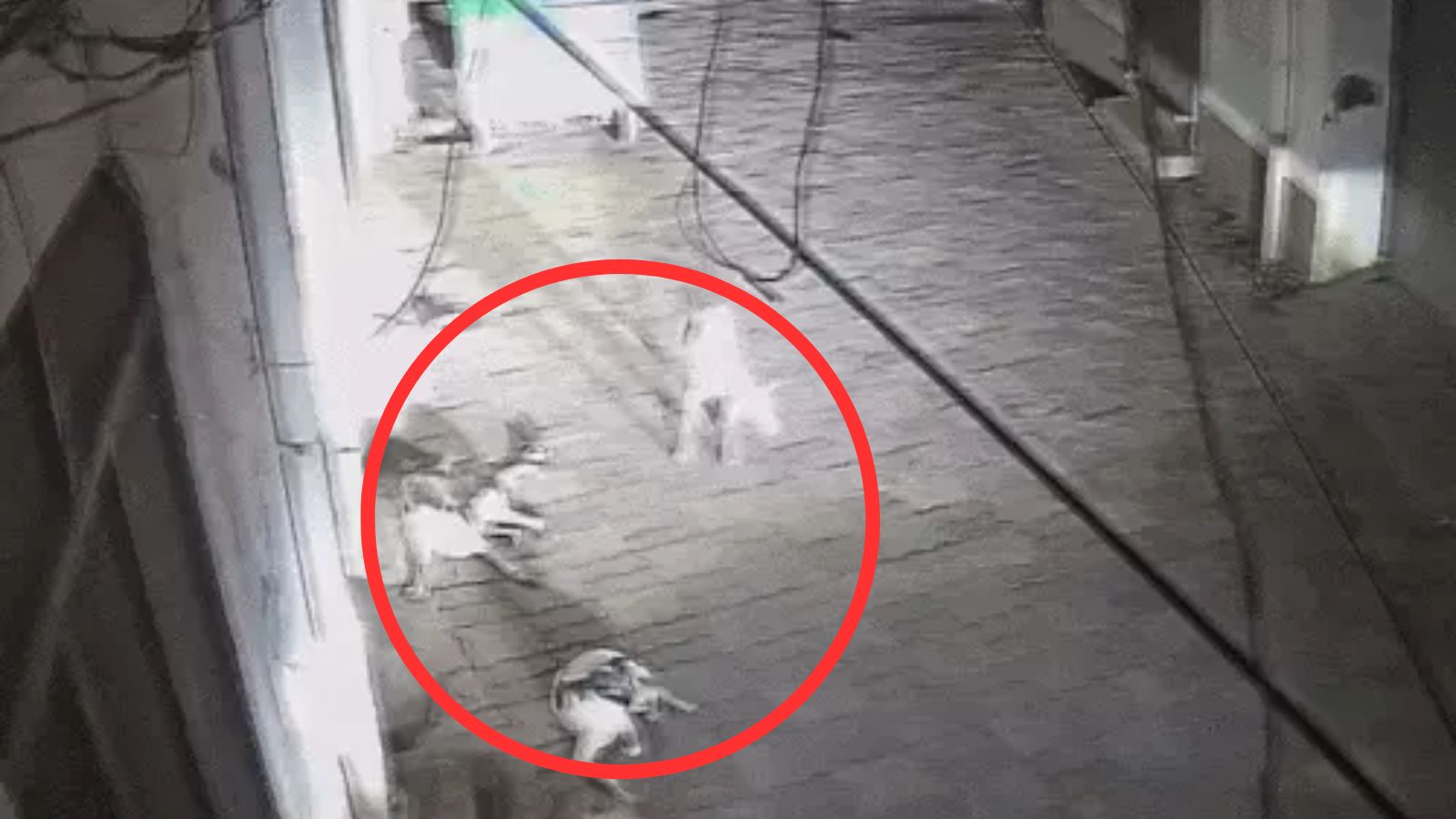 जालंधर में शर्मसार कर देने वाली घटना! 