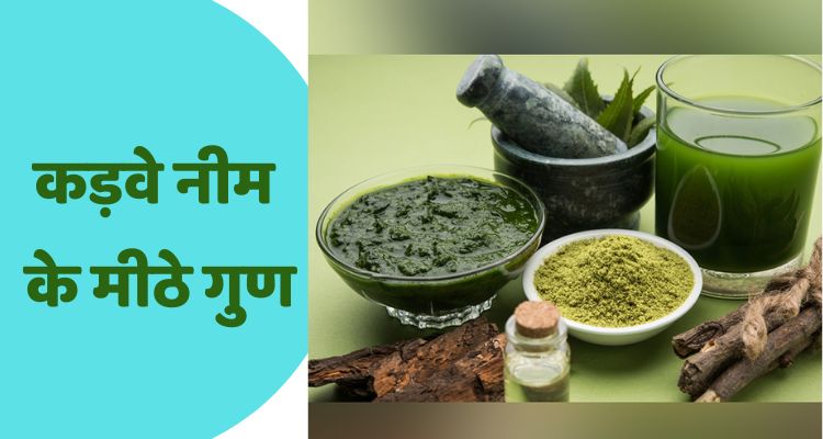 सुबह खाली पेट नीम की पत्तियां चबाने से होते हैं कई फायदे,