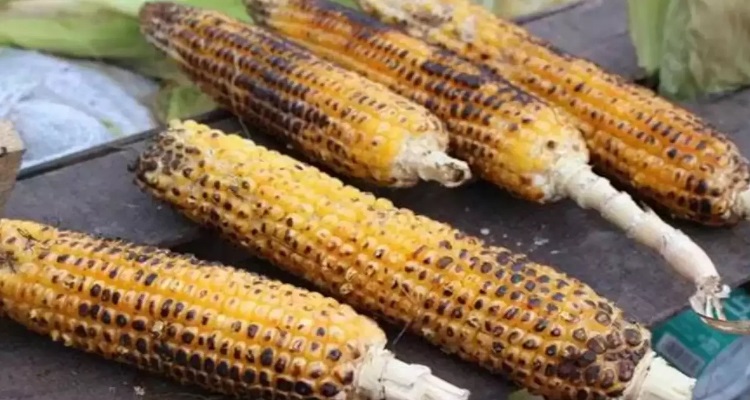 Benefits Of Bhutta : सिर्फ स्वाद ही नहीं, सेहत का खजाना
