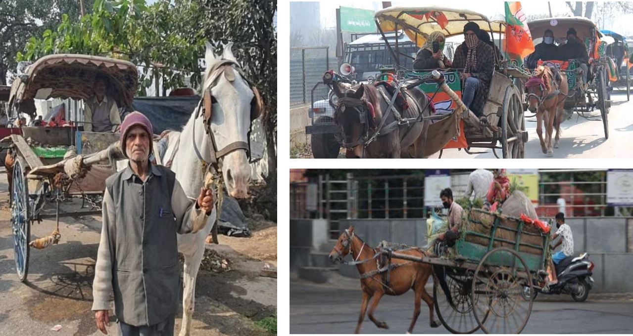 Today Popular Tanga Ride : आधुनिक युग में परिवहन के बढ़ते 