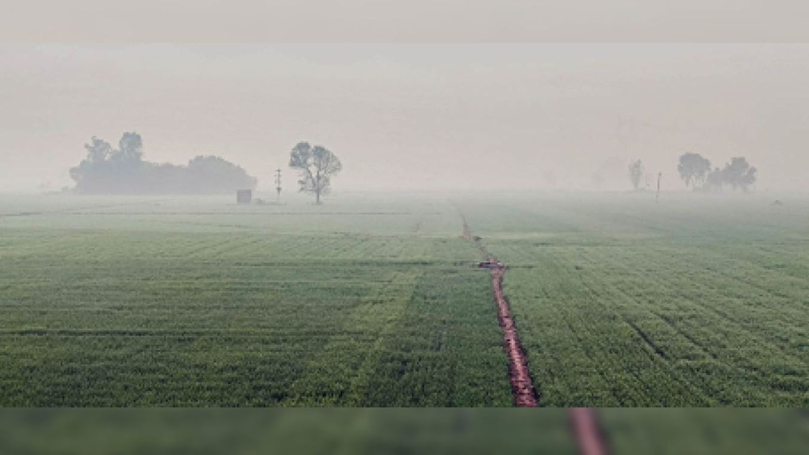 पंजाब के  कई जिलों का AQI 100 के पार, 