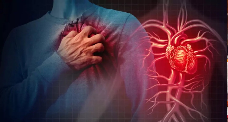 Heart Attack Risk : चिंता का विषय है हार्ट अटैक, शरीर भी खा रहा खौफ