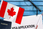 Work permits will not be granted to people coming to Canada on visitor visa , Trudeau government announced