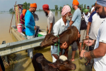 पंजाब की मदद के लिए आगे आया हरियाणा, 