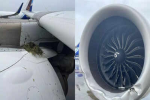 एक बार फिर Air India का प्लेन हादसे का शिकार, 