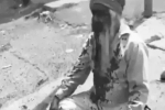 अमेरिका में बुजुर्ग सिख से बेरहमी से मारपीट, 