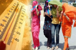 पंजाब में रिकॉर्ड तोड़ रही गर्मी,  