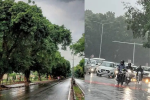 पंजाब में मानसून की एंट्री के बाद भी नहीं हो रही बारिश, 