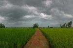 Weather will change in Punjab-Chandigarh from today, there will be rai...