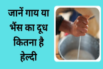 जानिए गाय या भैंस के किस दूध में 