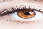 Eye Flu को चुटकियों में दूर करने का आयुर्वेदिक उपाय, घर में भी कर सकते हैं तैयार