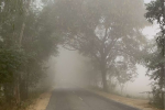 Fog In Punjab: Weather changed in Punjab, dense fog in the morning, co...