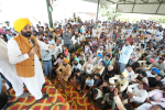 CM Bhagwant Singh Mann appealed to the people to unanimously elect the...